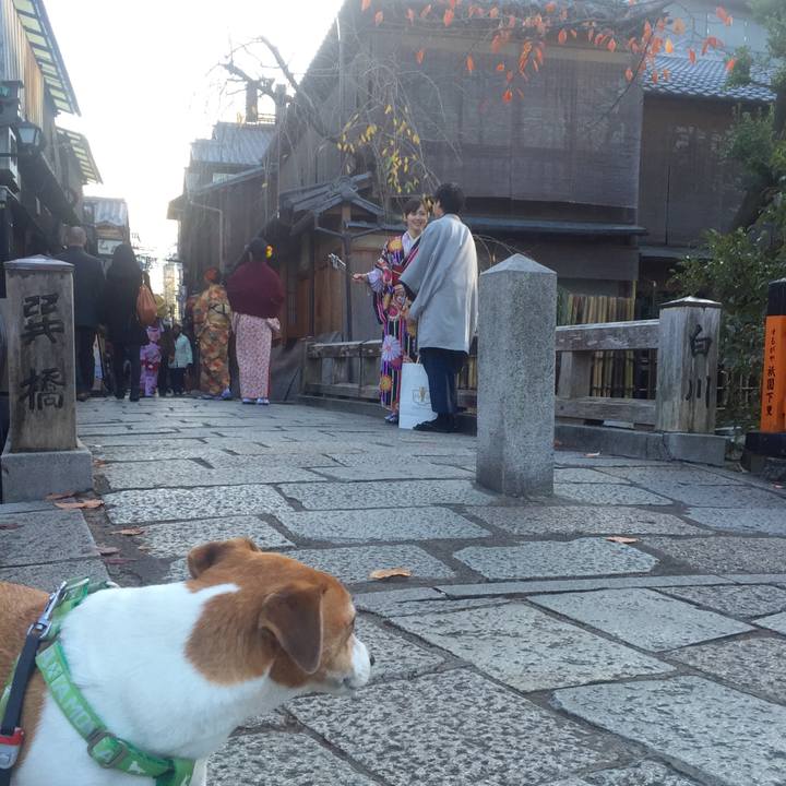 Ffed8e3c 91fe 4d07 b315 c13ea972b2fe