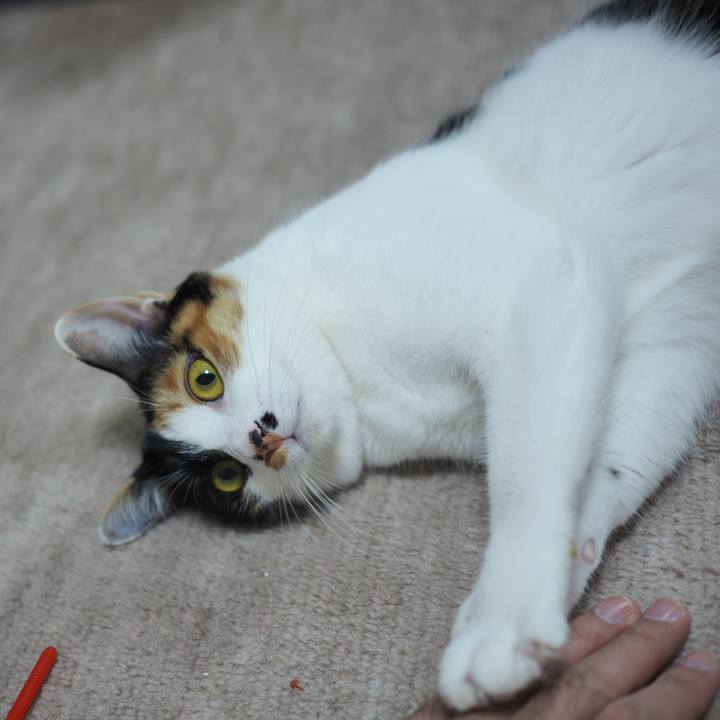 Ffee4a0f 8735 4e1a 91e0 c9bcaf1e9467