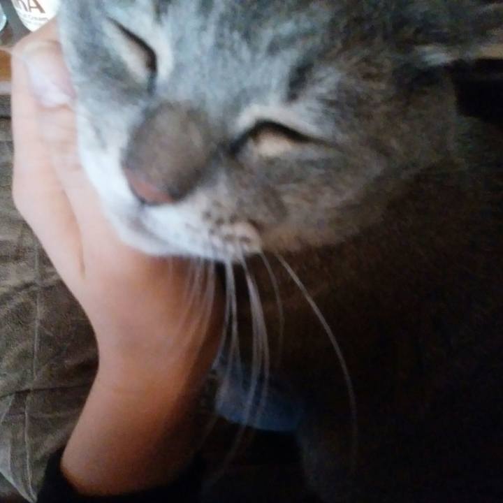 Ffee6045 b587 48eb 99a5 946196da943b