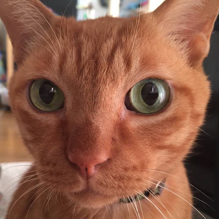 Ffee80a8 5036 48f8 ae78 7cea5493a551