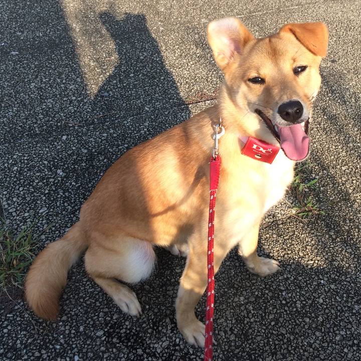 Ffeeed77 12ea 4483 a824 8ebf5179e36c