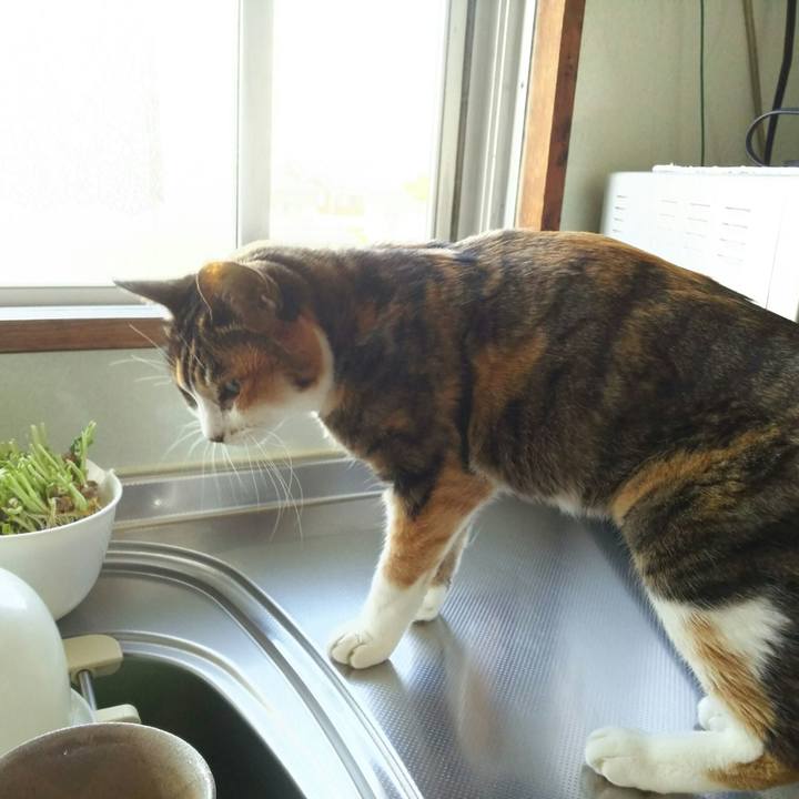 Ffef212e 8d4c 47d7 b272 7ea610942f62