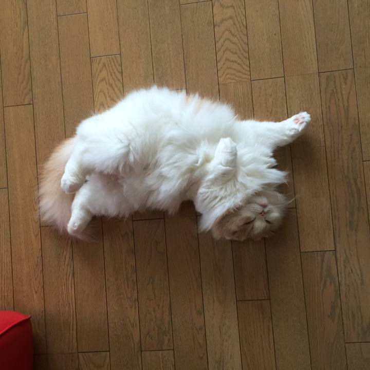 Ffef3ad3 2ebe 4d13 95ed e14f6dd7a2b1