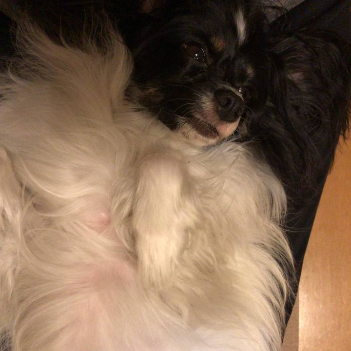 Ffefa8c1 d536 446d 9095 316ae318ed09