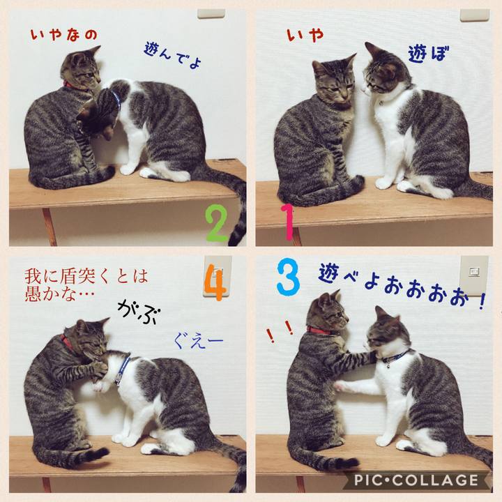 Fff05d30 8885 4e5c 9fec cbb5f55852e8