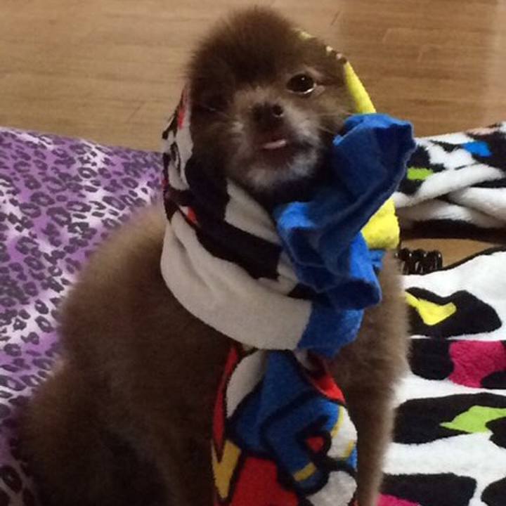 Fff108d4 3dd7 4895 8f7b bbdad473402c