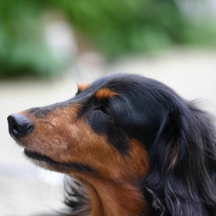 Fff2c3e9 066a 4761 9eb4 c65e91778b8d