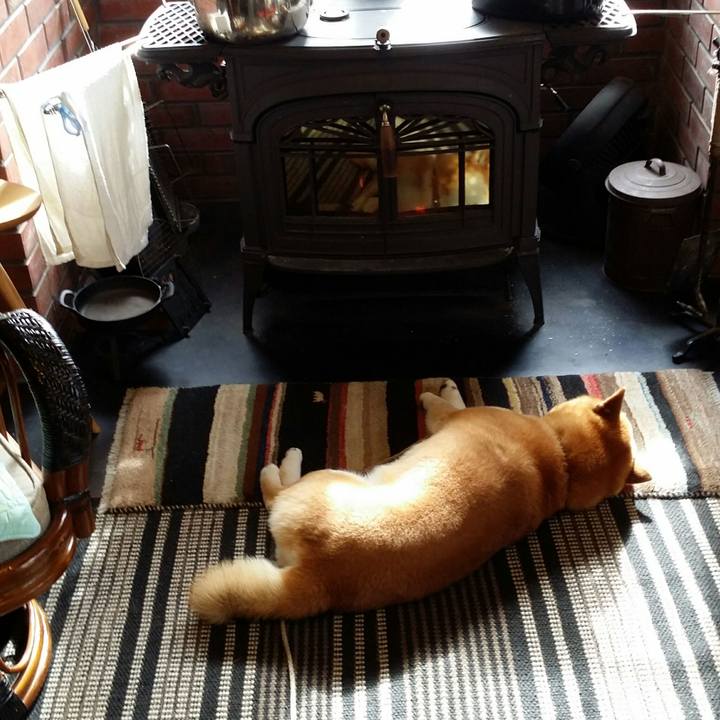 Fff2f4a5 2dde 4d01 8c78 a1772fa6a0a9