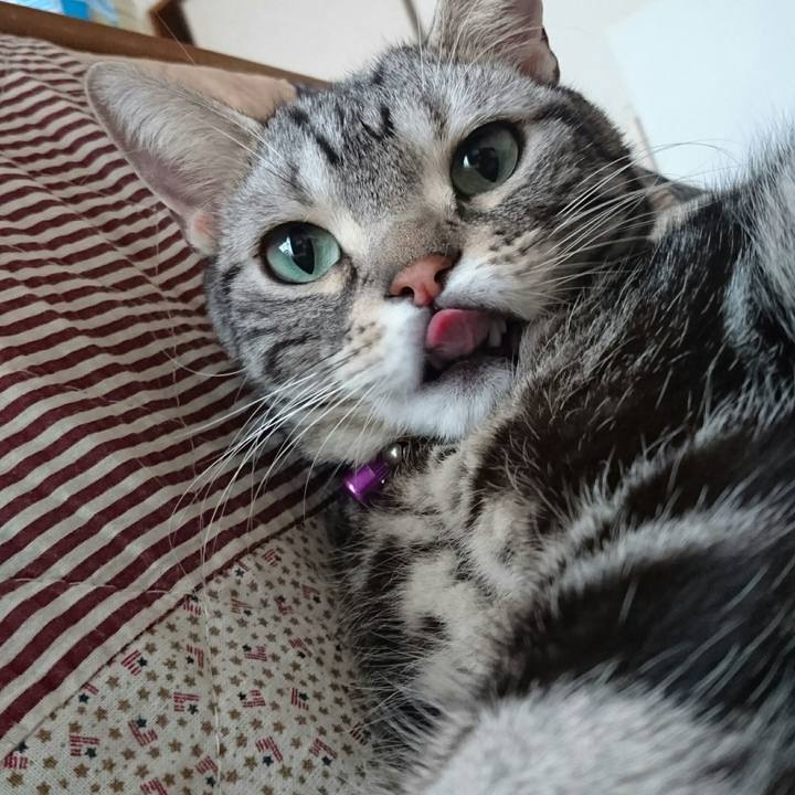 Fff30196 656a 46bf 8fae b2223ee47cb2