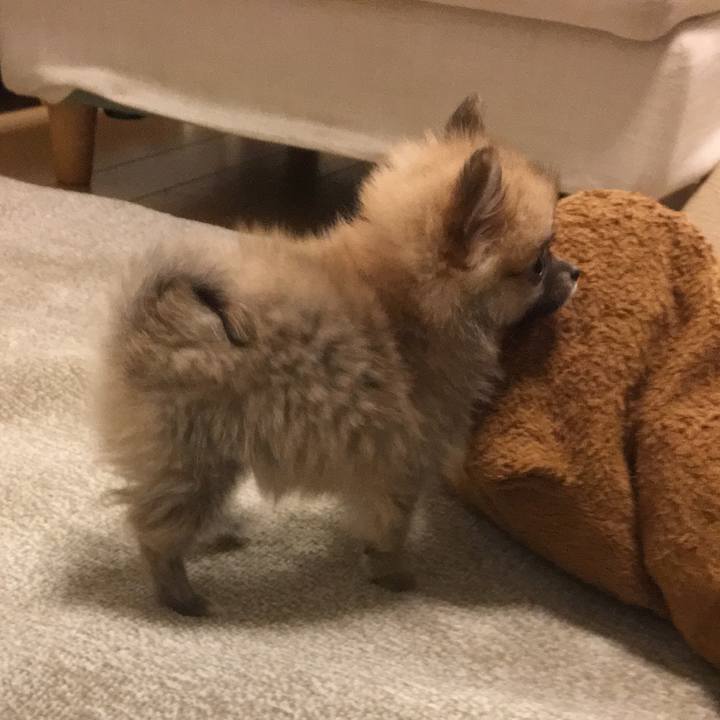 Fff35716 7094 4fc3 8afc fff5974c718d