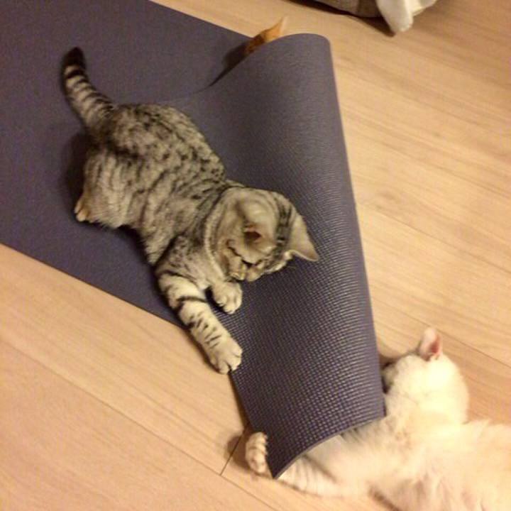 Fff36f98 5a20 45ab 82f4 7acbfbe884be