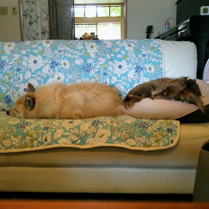 Fff3fbf5 f19c 487a 8c6e 6d363c315a1d