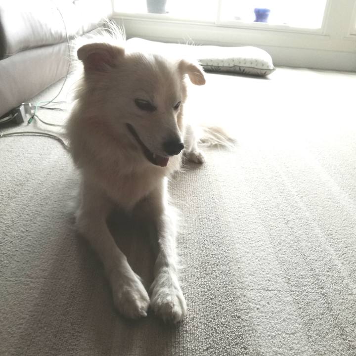 Fff40dcc 143e 4927 8c3b 4818ced146e9