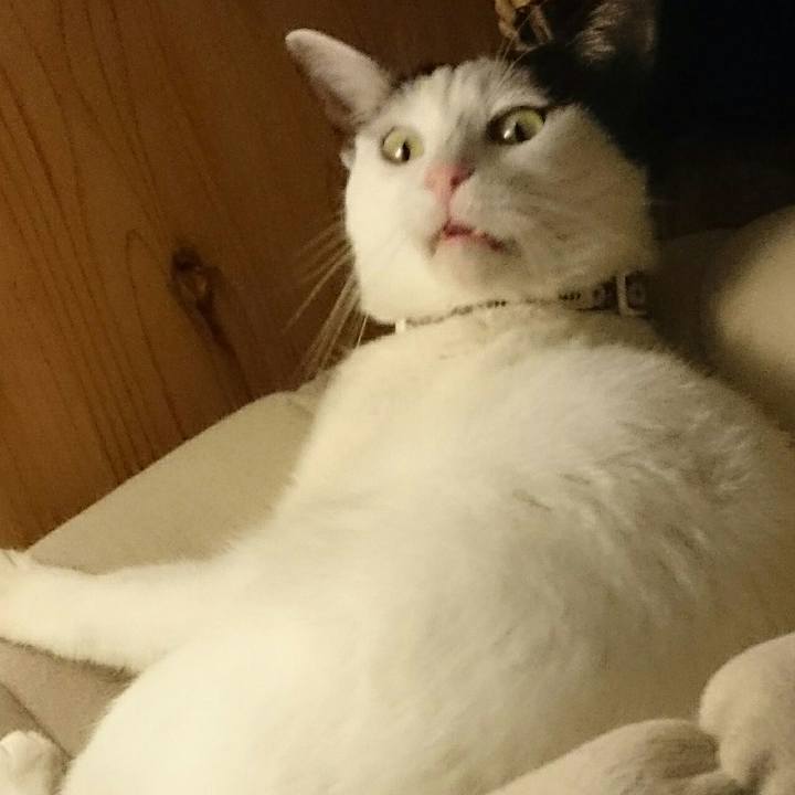 Fff44266 a747 4ff7 91f1 9eaa060a1077