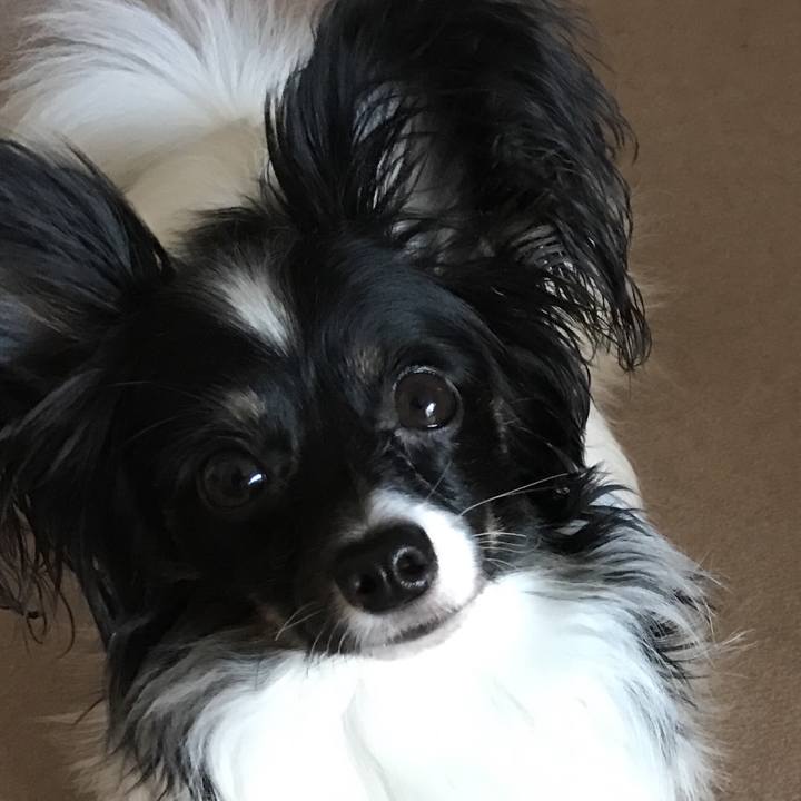 Fff4582a b64d 427c ad79 cef926a44714