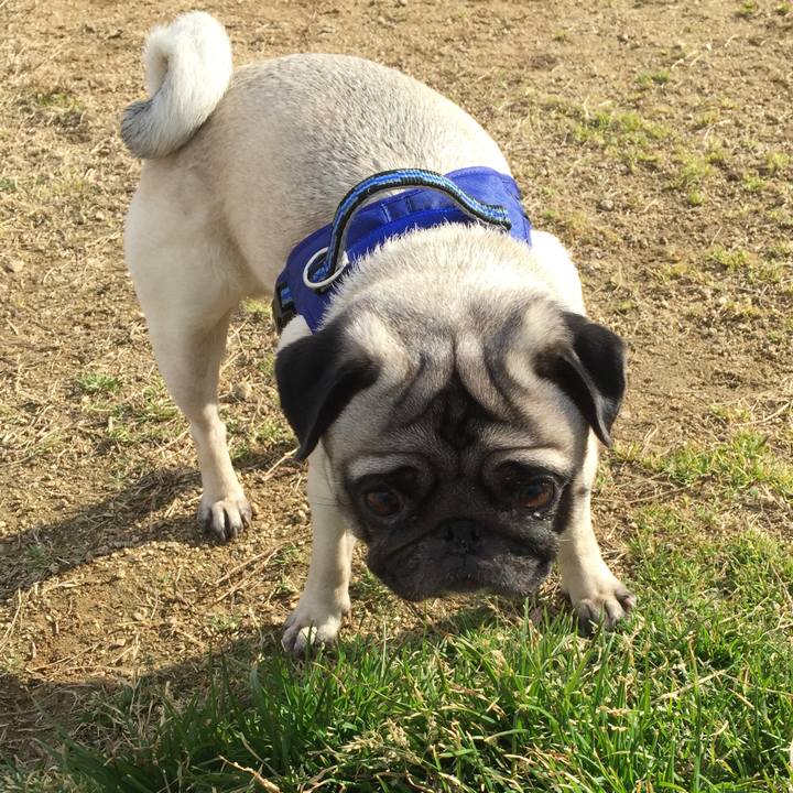 Fff47f3b fb59 412b 9880 3e0f91edb75b