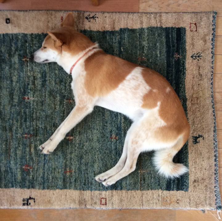 Fff51b7a ce70 4493 8cdb 81a19a4c81cd