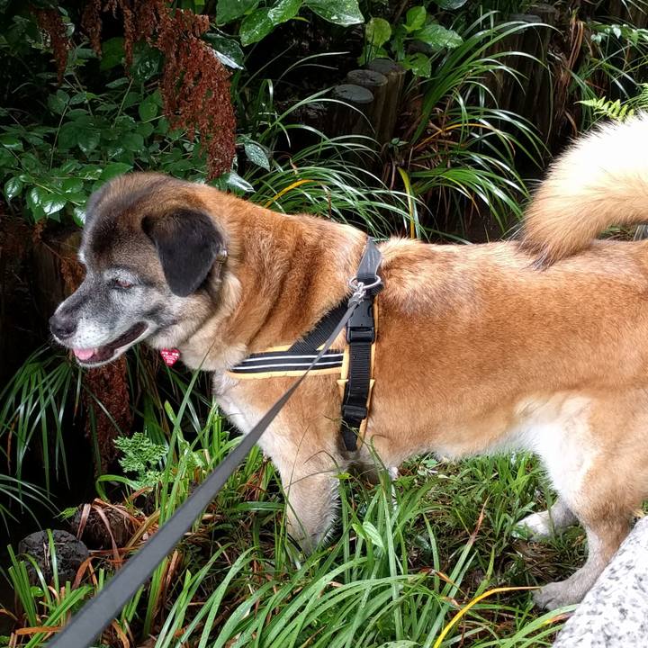 Fff5e688 f32d 49be ad52 caa0c4593d45