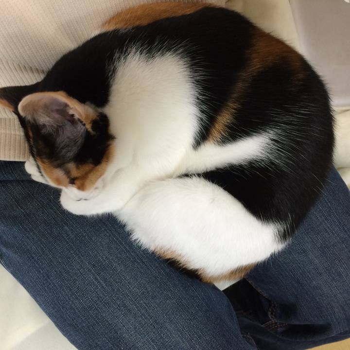 Fff64d4a 7887 4fe5 99f1 d70560bb027f