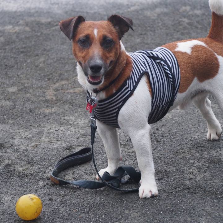 Fff6b305 74e1 437c bc4c 2ce67b782e18