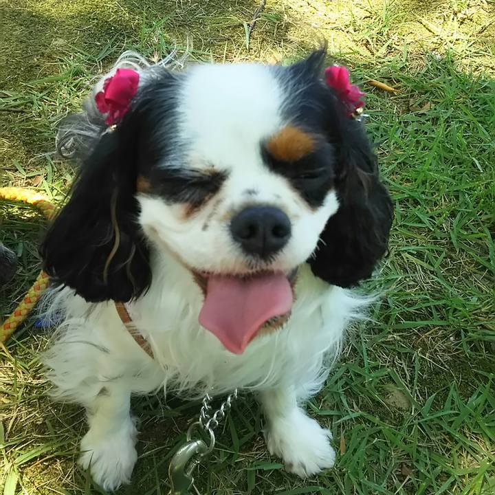 Fff76333 ef82 4481 9888 a07de0942191