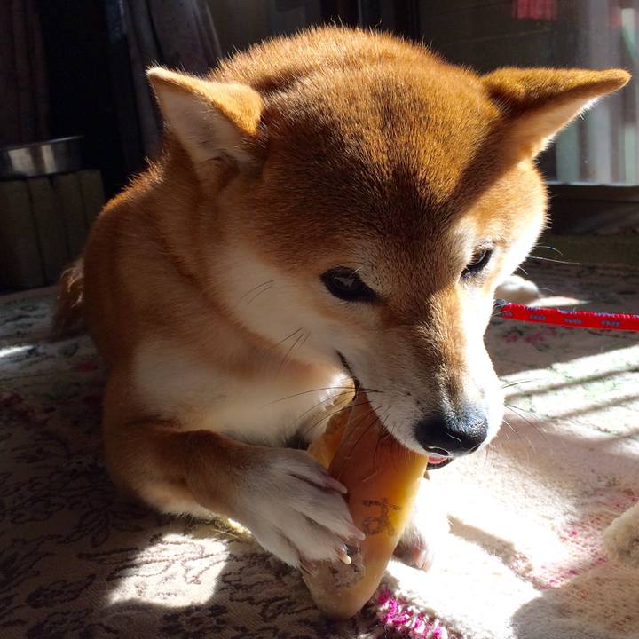 Fff78fc8 8b10 4361 ade0 824e6c394f50