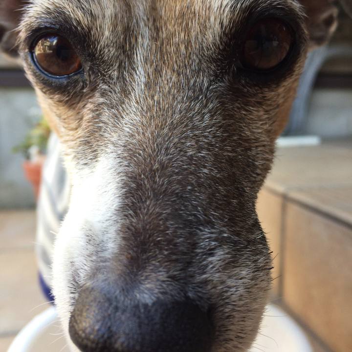 Fff7d137 ebb7 4eea a18a 539e869dcda0