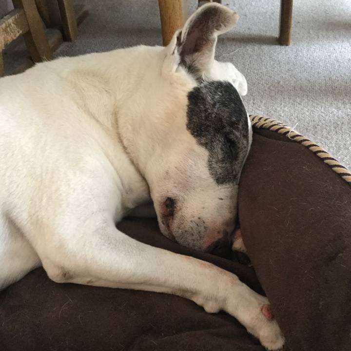 Fff85605 5830 4bbe a11c 12b7c849372c