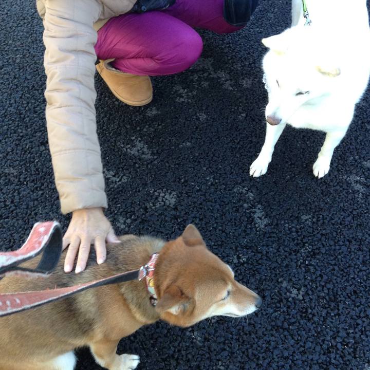 Fff86cf5 87f6 45cb 8b8b cc2a141415ea