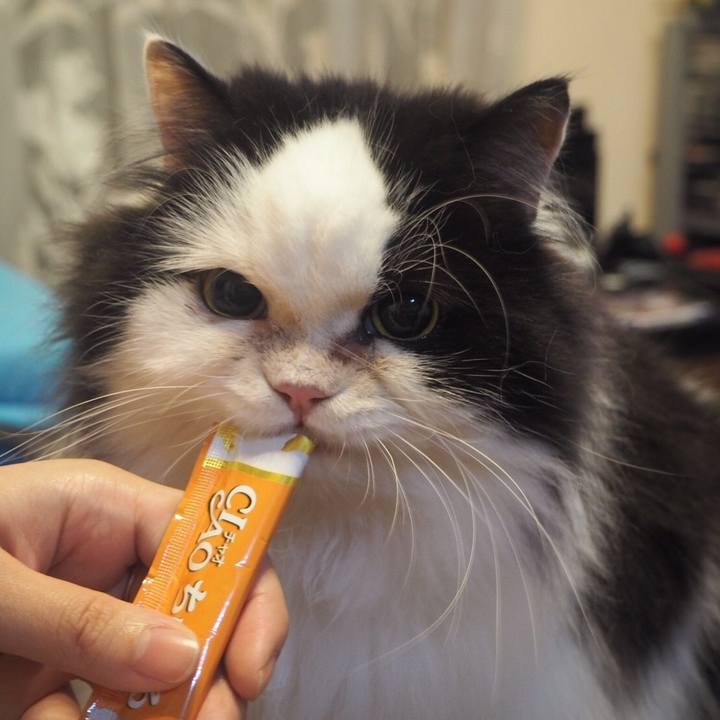 Fff8806c 3fe3 443b b4fc 1150be8acbad