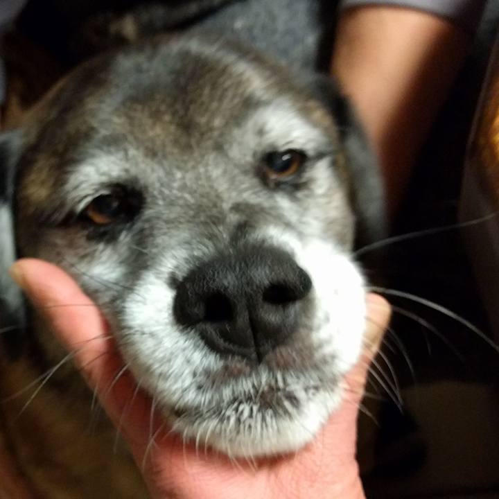 Fff8ebec f6fb 4444 86a6 f7b5b50683eb