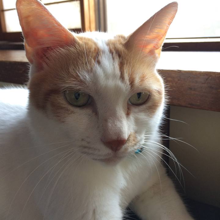 Fff91d42 c7d8 4930 9038 6400a5d0f180