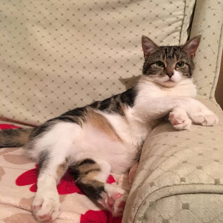 Fff94ce6 5a50 427b a20f 1a21d1775f41