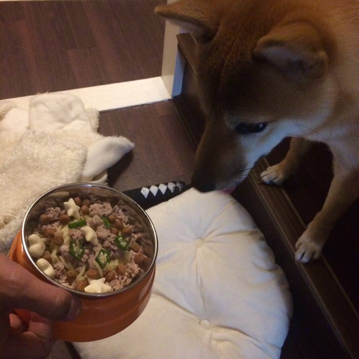 Fff94de8 09d8 481c a161 b3a23470ec58