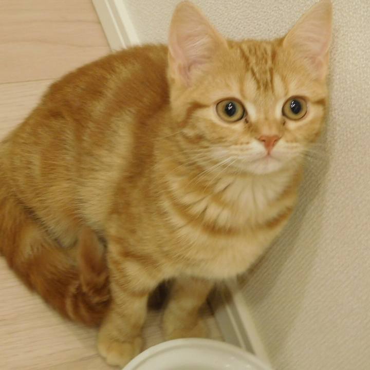 Fff9f7a6 332a 4382 9602 fdc9b16ae8ba