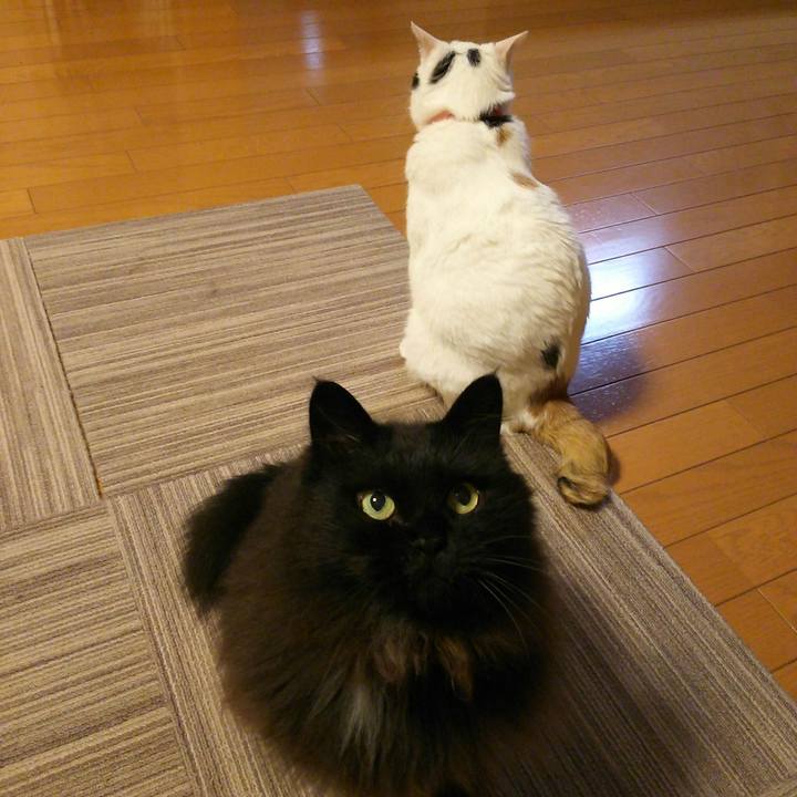 Fffa150f 62a3 4b23 9fe6 8ce784bf2407