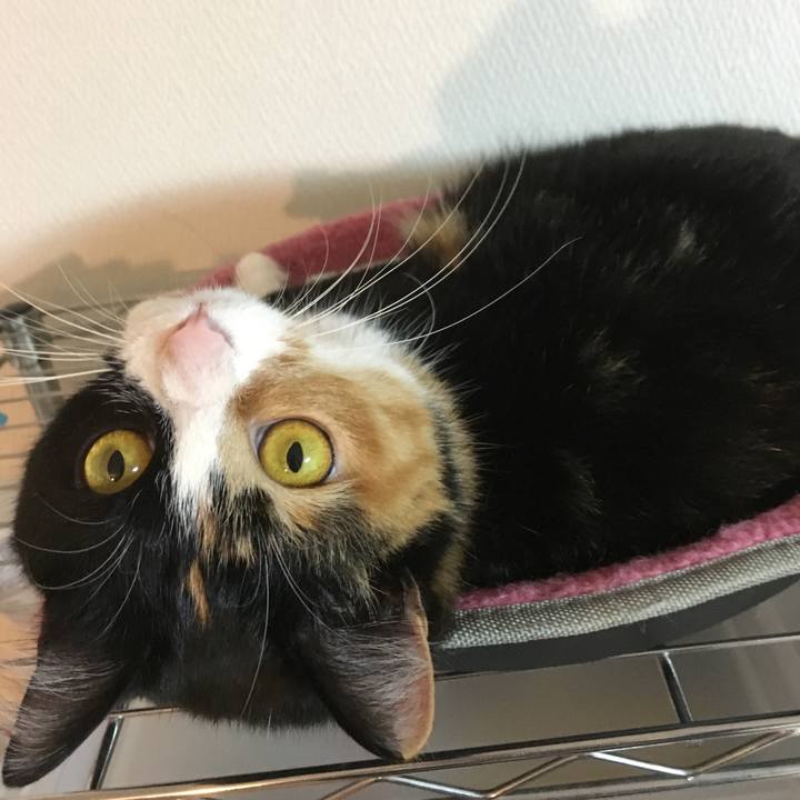 Fffa9ef1 976b 4254 a5fd 85a3dd6997a0