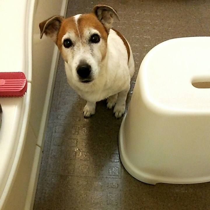 Fffc5b0c 09c1 4ab1 9bf8 f5a48efbbe20