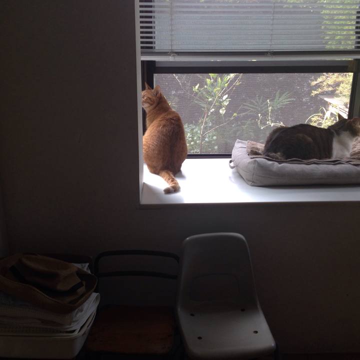 Fffc606c ead3 4941 b720 7459521a6cfc