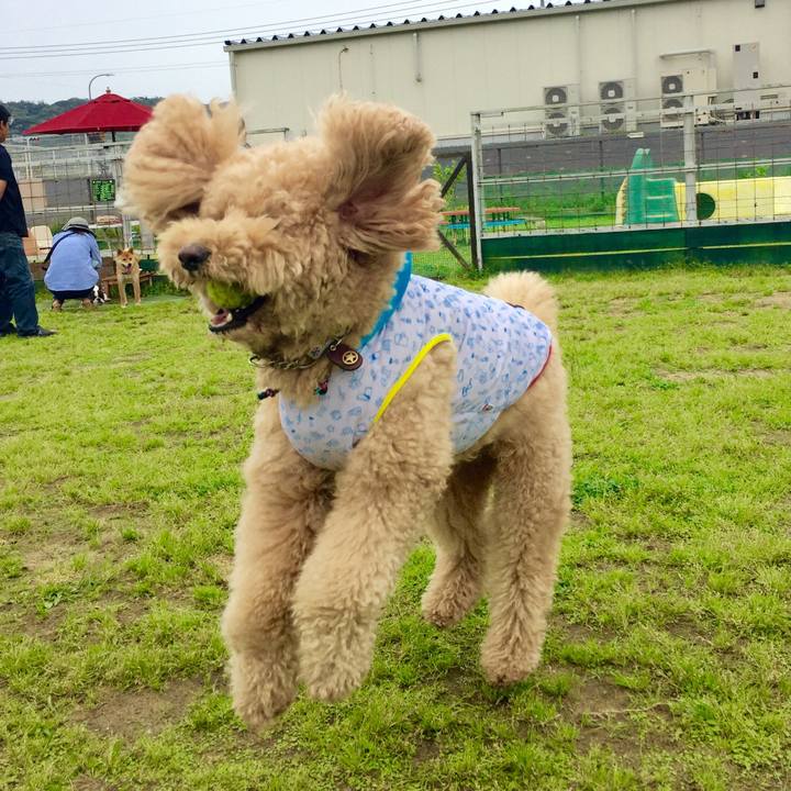 Fffc9c2a 06cf 4538 882a 7b507ff9b53a