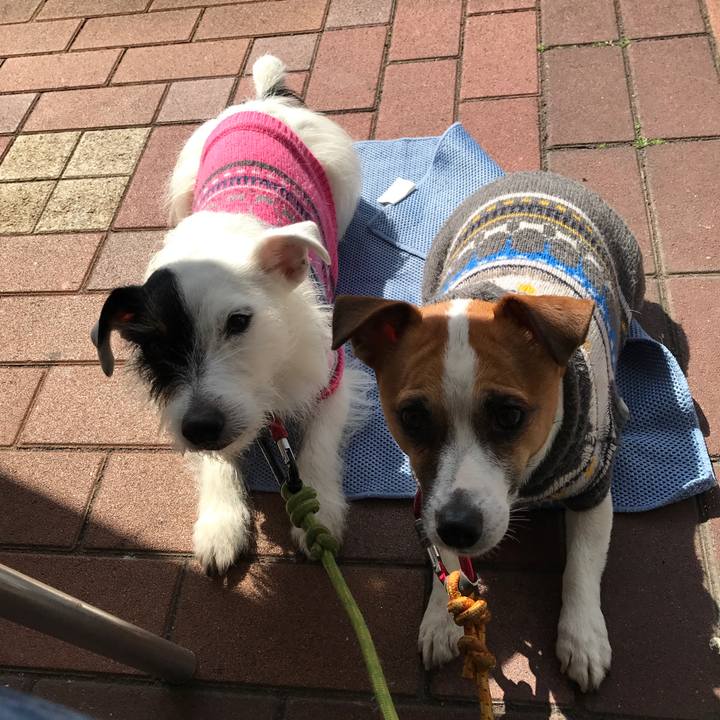 Fffcdda8 fc36 4277 ab4e 3debb5b877f7