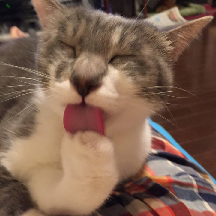 Fffd9315 64d3 4ffc a57a 5515469a10fe