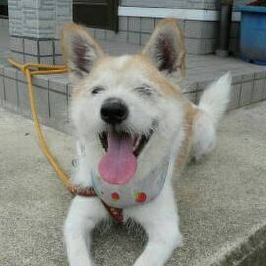 Fffe1d26 6f24 4ddd 8d5a 1569c1c31554