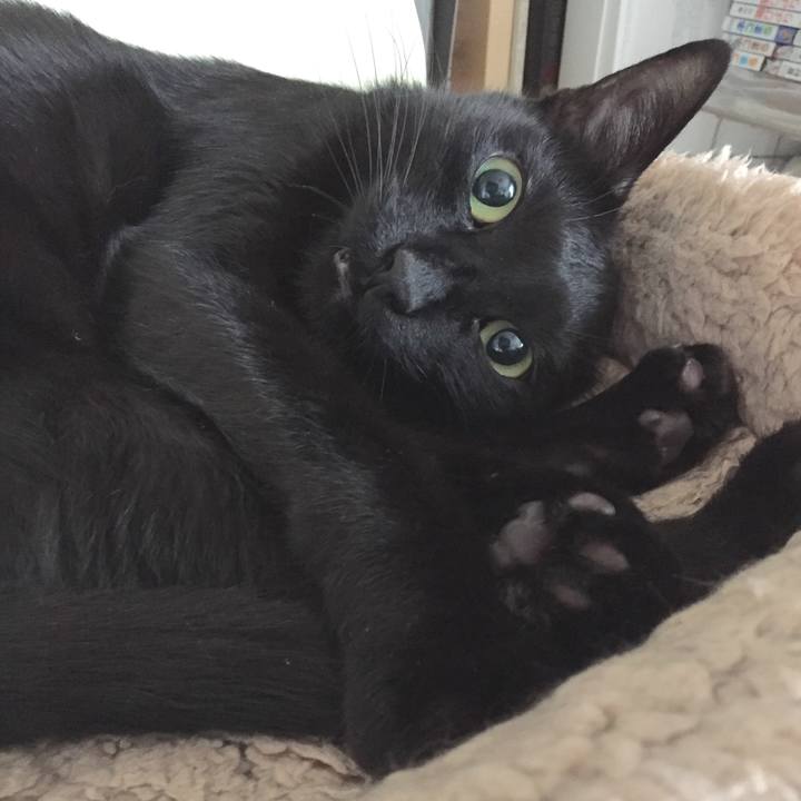 Fffe5a14 113a 4fda bc28 ab27b53c7b79