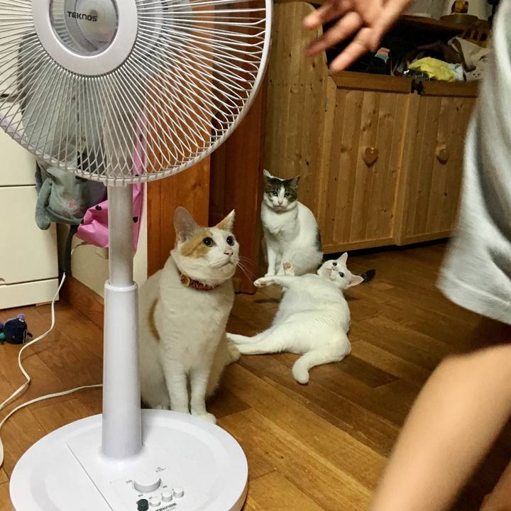 Fffe8a6a 103d 417e 95ce f9a47dd69f1c