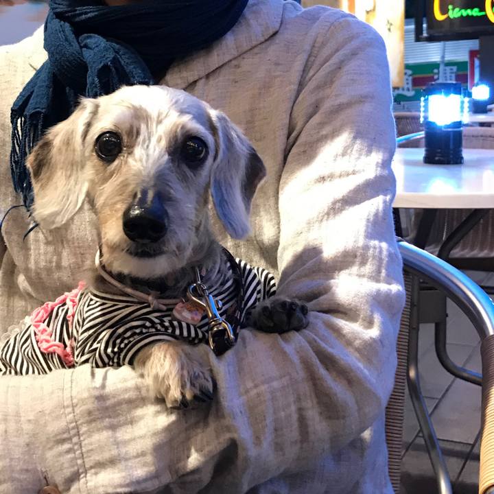 Ffff4c2d 062f 41cf b5bc ed02d32c47b8