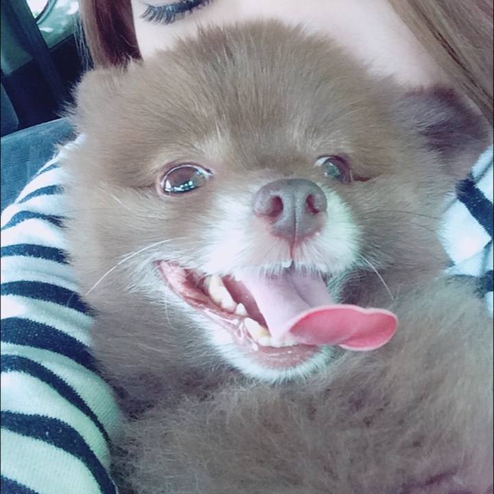 Ffff8dc3 45aa 4230 bddc 911d3070cae0