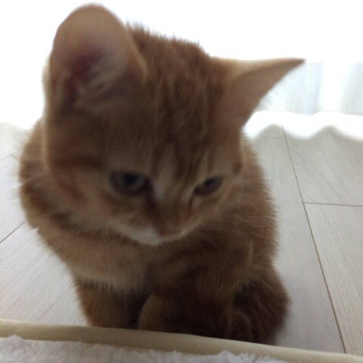 Ffffb724 c391 4576 8748 9f93080f9b32