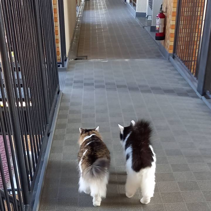 000007c0 d143 44e1 988d 21cf5f10dc3d 1627902737420