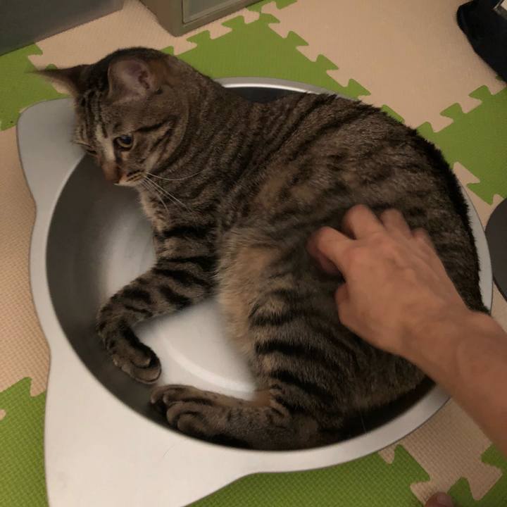 00000958 6b66 4983 8e52 b7777f21abf9 1535800282806